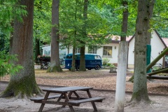 VW-Oldtimer-Treffen_im_Tierpark_Herford_2019_005