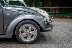 VW-Oldtimer-Treffen_im_Tierpark_Herford_2019_019