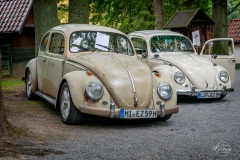 VW-Oldtimer-Treffen_im_Tierpark_Herford_2019_042