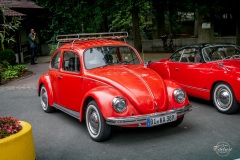 VW-Oldtimer-Treffen_im_Tierpark_Herford_2019_091