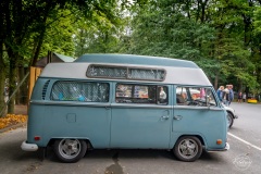 VW-Oldtimer-Treffen_im_Tierpark_Herford_2019_121