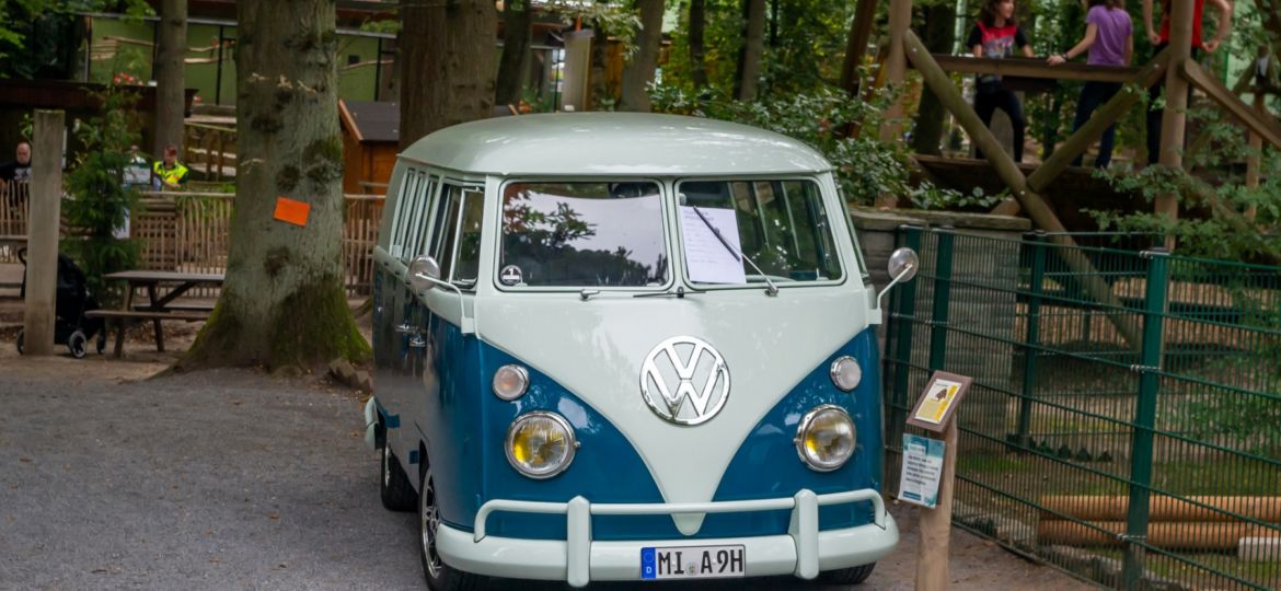 VW-Oldtimer-Treffen_im_Tierpark_Herford_2019_001